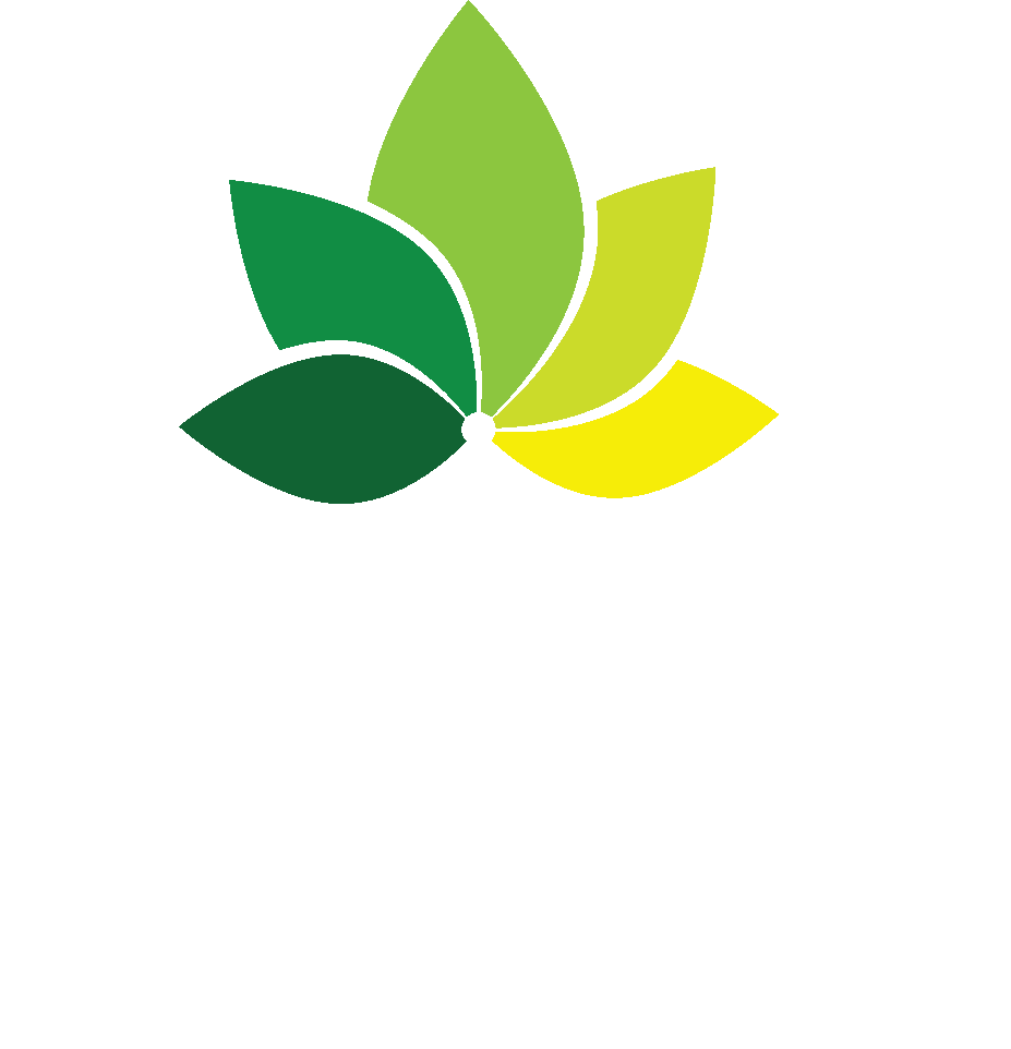 Nayana Spa Logo